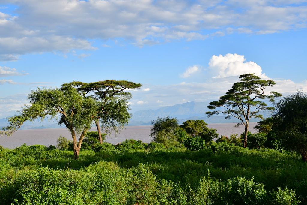 Weliso to Arba Minch